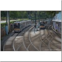 2019-04-29 °3,°19 De Wand 4066,3140.jpg